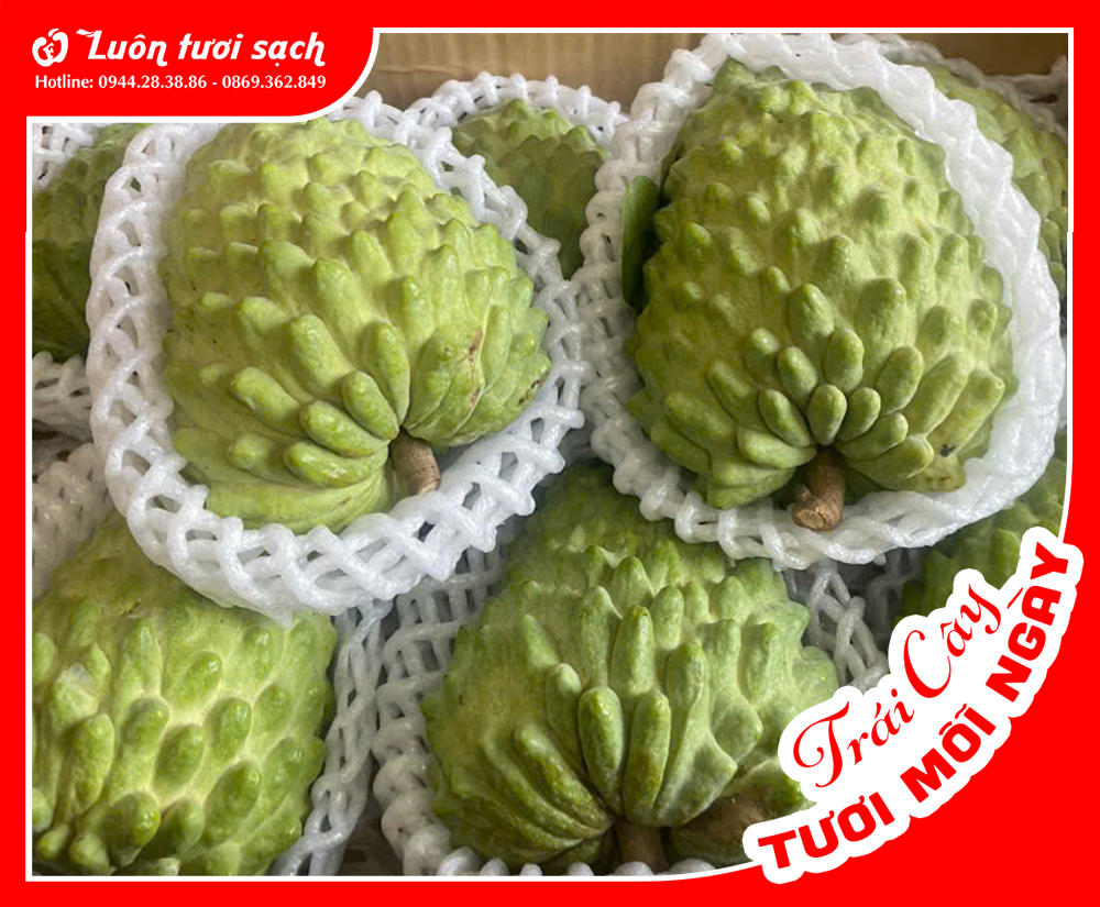 Na dai Sơn La